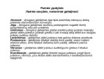 Fizinės ypatybės 2