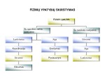 Fizinės ypatybės 3