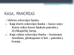 Kasa ir jos topografija 2