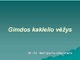 Gimdos kaklelio vėžys