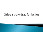 Oda ir jos sandara skaidrės 1