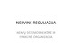 Nervinė reguliacija