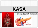 Kasa: topografija, sandara, funkcijos 1