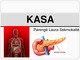 Kasa: topografija, sandara, funkcijos 