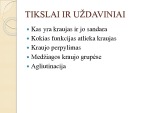 Kraujas ir jo sandara 2