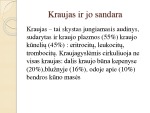 Kraujas ir jo sandara 3