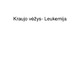 Kraujo vėžys leukemija skaidrės