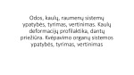 Odos, kaulų, raumenų sistemų ypatybės, tyrimas, vertinimas Kaulų deformacijų profilaktika, dantų priežiūra Kvėpavimo organų sistemos ypatybės, tyrimas, vertinimas 1