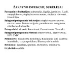 Žarnyno infekcinės ligos skaidrės 2