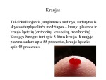 Kraujo grupės nustatymo būdai 2
