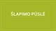 Šlapimo pūslė skaidrės