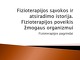 Fizioterapijos sąvokos ir atsiradimo istorija