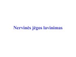 Nervinės jėgos lavinimas 1
