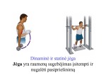 Nervinės jėgos lavinimas 2