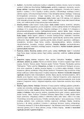 Anatomijos egzamino kolegijoj konspektas 1