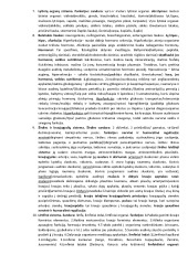 Anatomijos egzamino kolegijoj konspektas 2