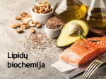 Lipidų biochemija 1