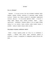 Virskinimo Liaukos Ir Virskinimo Fermentai Mokslobaze Lt