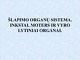 Šlapimo organų sistema: Inkstai, Moters ir vyro lytiniai organai