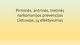 Pirminės, antrinės, tretinės narkomanijos prevencijos Lietuvoje, jų efektyvumas