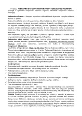 Kvėpavimo sistemos anatomijos ir fiziologijos pagrindai 1