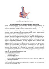 Kvėpavimo sistemos anatomijos ir fiziologijos pagrindai 3