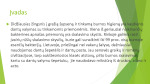 Skalavimo skysčiai: jų reikšmė apnašo kontrolei 3