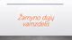 Žarnyno dujų vamzdelis