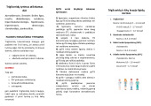 Trigliceridai (TGL) 2