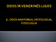 Odos ir venerinės ligos projektas