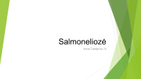 Ūmi infekcinė žarnyno liga: Salmoneliozė 1