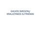 Galvos smegenų kraujotakos sutrikimai skaidrės