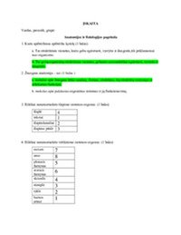 Anatomijos atsiskaitymas 1