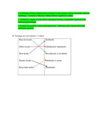 Anatomijos atsiskaitymas 3
