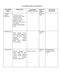 Intensyvios slaugos planas 3