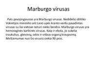 Pavojingiausi virusai 2