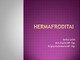 Hermafroditai