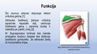 Raumens įplyšimas: Supraspinatus įplyšimas 3