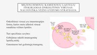 Genetikos mokslo naujovės vykdant virusų tyrimus 2