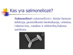 Salmoneliozė 2