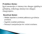 Intensyvios slaugos praktikos ataskaita 2