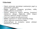 Intensyvios slaugos praktikos ataskaita 3
