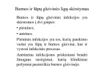 Burnos ligos 2