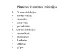 Burnos ligos 3