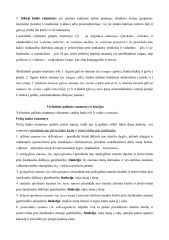 Raumenys konspektas (2) 3