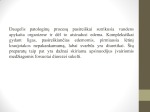 Diuretikai 2