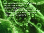 Virusinės ir infekcinės ligos 2