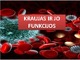 Kraujo funkcija