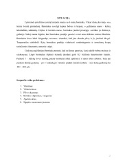 Ūmis gastriras 2