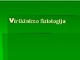 Virškinimo sistemos fiziologija